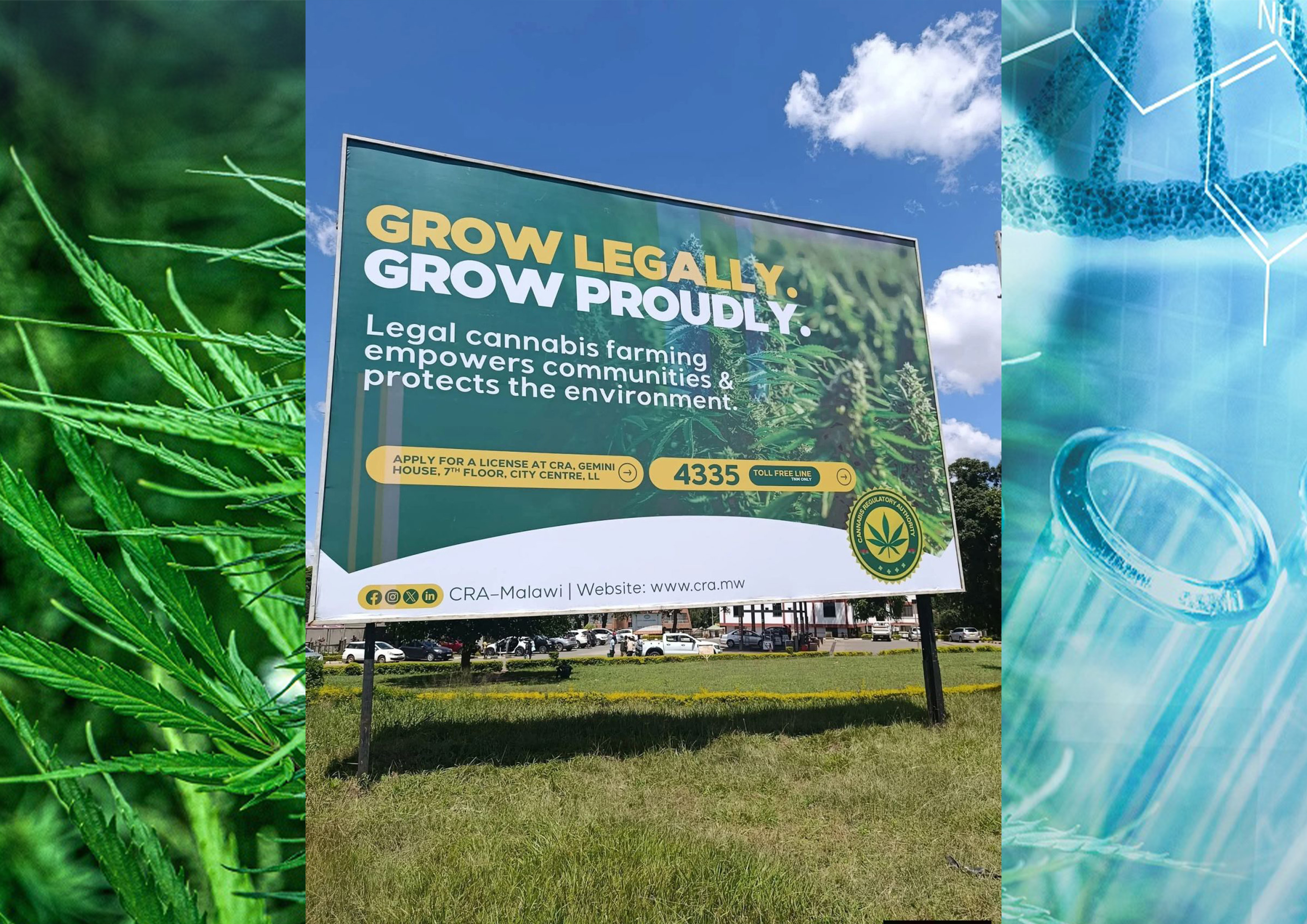 Grow legally, Grow Proudly Campaign 